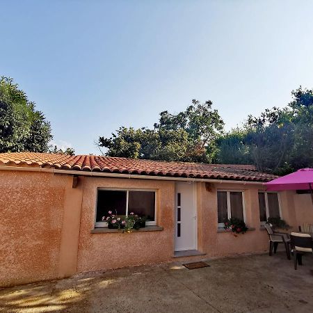 Maison De Village Proche Commodites Murato Экстерьер фото